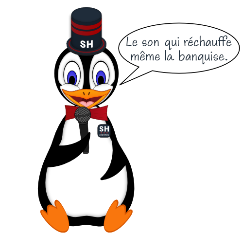 Shopy dit : Le son qui réchauffe même la banquise !